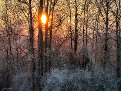 Freezing Fog Sunrise - Feb 2