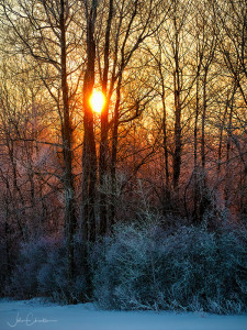 Freezing Fog Sunrise Feb 2