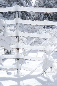 Snowy Wire Fence