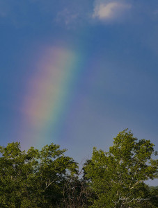 Rainbow - July 28