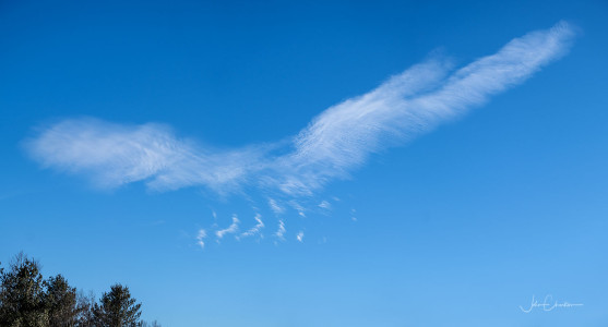 Eagle Cloud