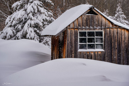 Woodshed in Snow