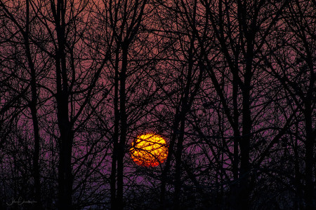 Sunrise through the trees - Nov 24 2022