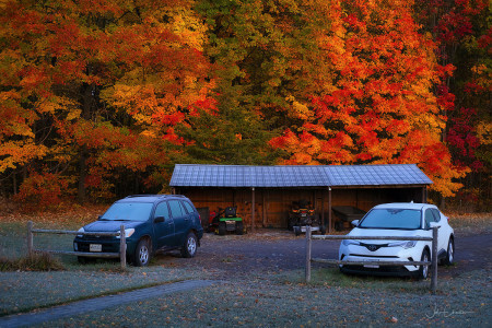 Autumn-Driveshed-DSCF8051